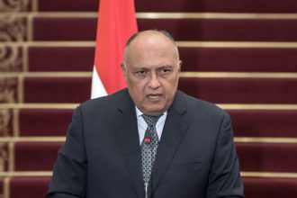 Shoukry participates in Arab foreign ministers meeting on Syria