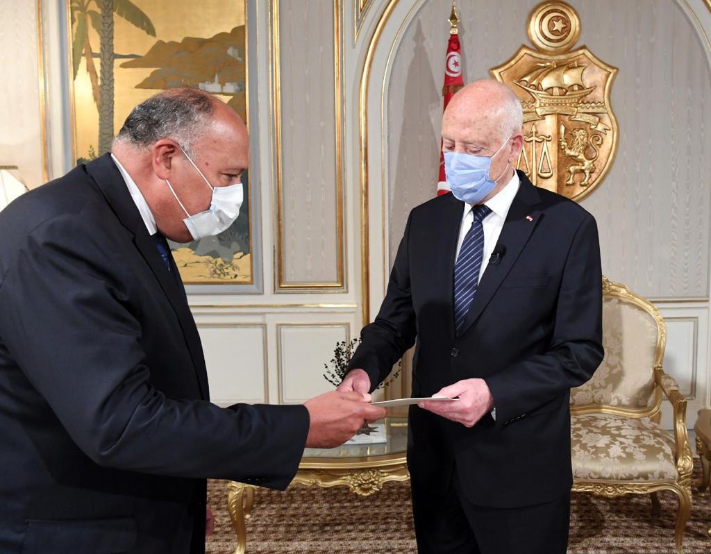 Egypt’s Shoukry, Tunisian President discuss regional developments, GERD updates