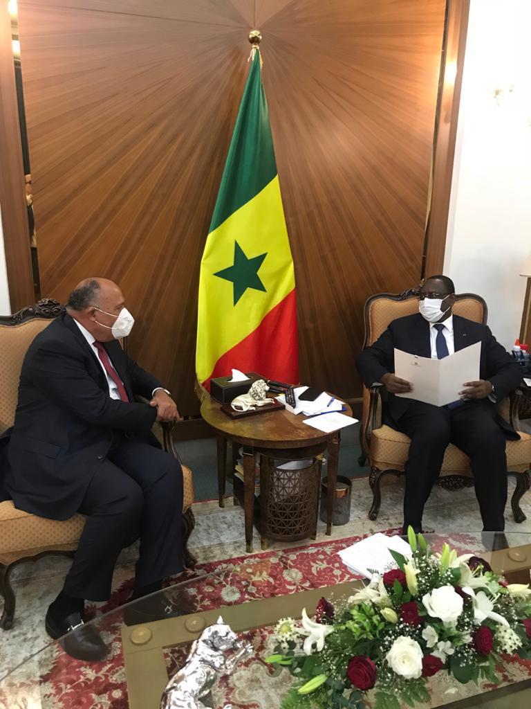 Egypt, Niger, Senegal discuss latest GERD developmentsEgypt, Niger, Senegal discuss latest GERD developments